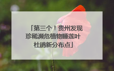第三个！贵州发现珍稀濒危植物睡莲叶杜鹃新分布点