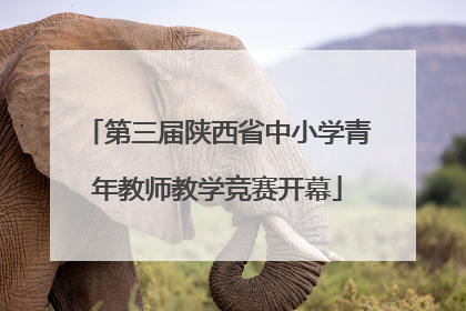 第三届陕西省中小学青年教师教学竞赛开幕