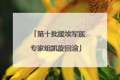 第十批援埃军医专家组凯旋回渝