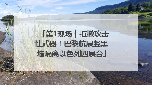 第1现场｜拒撤攻击性武器！巴黎航展竖黑墙隔离以色列四展台
