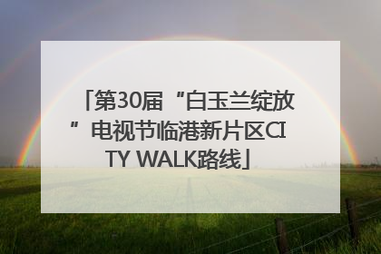 第30届“白玉兰绽放”电视节临港新片区CITY WALK路线