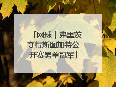网球｜弗里茨夺得斯图加特公开赛男单冠军