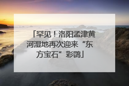 罕见！洛阳孟津黄河湿地再次迎来“东方宝石”彩鹮