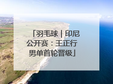 羽毛球｜印尼公开赛：王正行男单首轮晋级