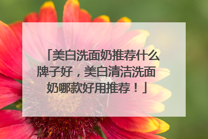美白洗面奶推荐什么牌子好，美白清洁洗面奶哪款好用推荐！