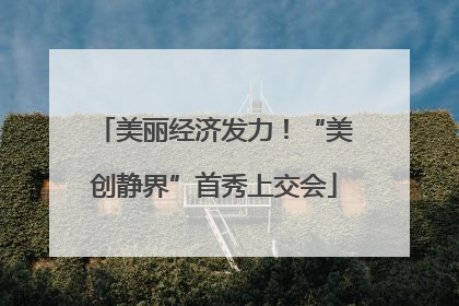 美丽经济发力！“美创静界”首秀上交会