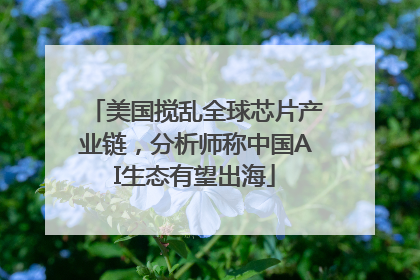 美国搅乱全球芯片产业链，分析师称中国AI生态有望出海