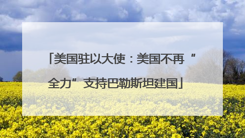 美国驻以大使：美国不再“全力”支持巴勒斯坦建国