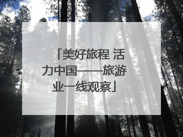美好旅程 活力中国——旅游业一线观察