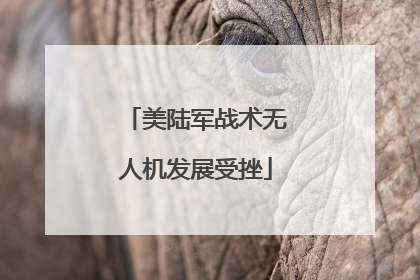 美陆军战术无人机发展受挫
