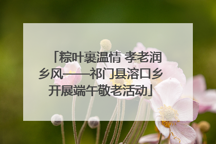 粽叶裹温情 孝老润乡风——祁门县溶口乡开展端午敬老活动