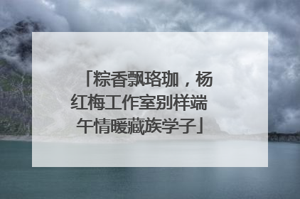 粽香飘珞珈，杨红梅工作室别样端午情暖藏族学子