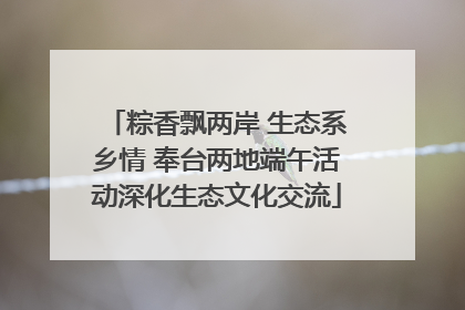 粽香飘两岸 生态系乡情 奉台两地端午活动深化生态文化交流