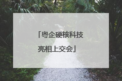 粤企硬核科技亮相上交会