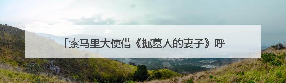 索马里大使借《掘墓人的妻子》呼吁：请把索马里人“人性化”！
