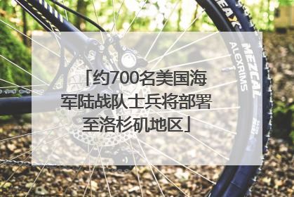约700名美国海军陆战队士兵将部署至洛杉矶地区