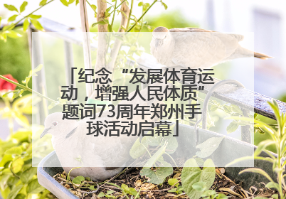 纪念“发展体育运动，增强人民体质”题词73周年郑州手球活动启幕