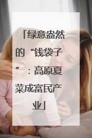 绿意盎然的“钱袋子”：高原夏菜成富民产业