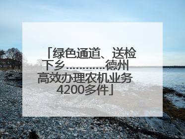 绿色通道、送检下乡…………德州高效办理农机业务4200多件