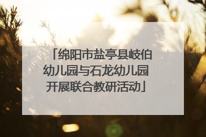 绵阳市盐亭县岐伯幼儿园与石龙幼儿园开展联合教研活动