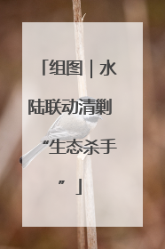 组图｜水陆联动清剿“生态杀手”