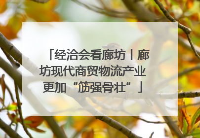 经洽会看廊坊丨廊坊现代商贸物流产业更加“筋强骨壮”
