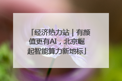 经济热力站｜有颜值更有AI，北京崛起智能算力新地标