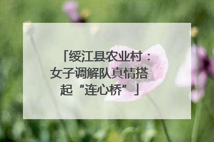 绥江县农业村：女子调解队真情搭起“连心桥”
