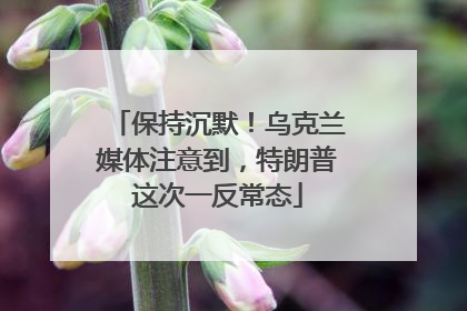 保持沉默！乌克兰媒体注意到，特朗普这次一反常态