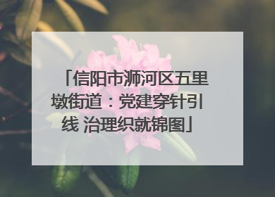 信阳市浉河区五里墩街道：党建穿针引线 治理织就锦图
