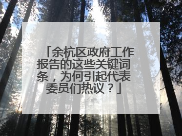 余杭区政府工作报告的这些关键词条，为何引起代表委员们热议？