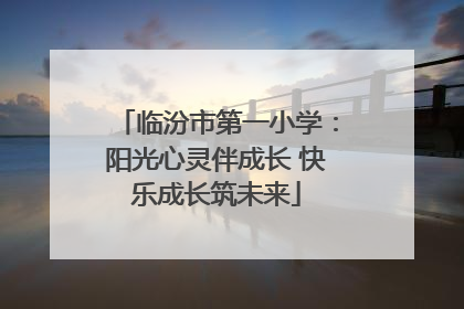 临汾市第一小学：阳光心灵伴成长 快乐成长筑未来