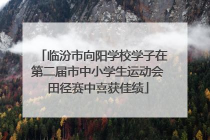 临汾市向阳学校学子在第二届市中小学生运动会田径赛中喜获佳绩