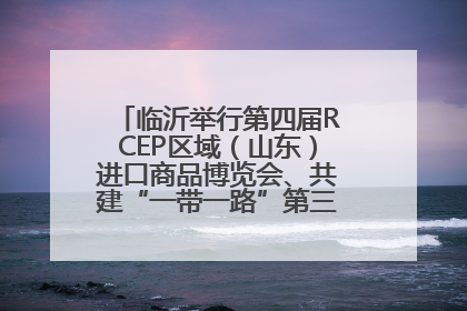 临沂举行第四届RCEP区域（山东）进口商品博览会、共建“一带一路”第三届临沂商城国际采购商大会新闻发布会
