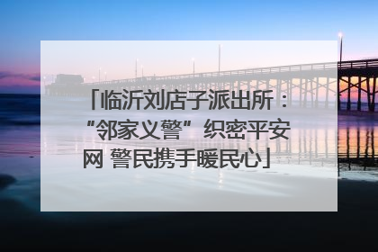 临沂刘店子派出所：“邻家义警”织密平安网 警民携手暖民心
