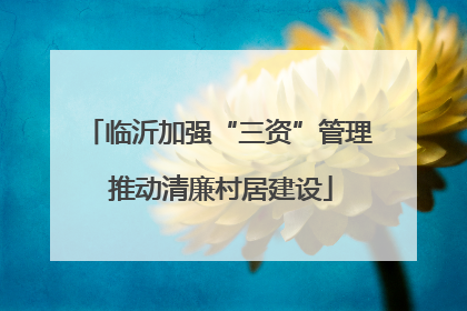 临沂加强“三资”管理 推动清廉村居建设