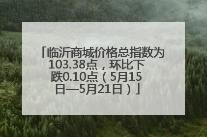 临沂商城价格总指数为103.38点，环比下跌0.10点（5月15日—5月21日）