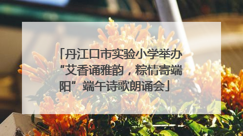 丹江口市实验小学举办“艾香诵雅韵，粽情寄端阳”端午诗歌朗诵会