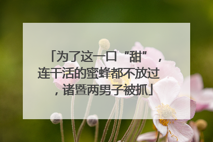 为了这一口“甜”，连干活的蜜蜂都不放过，诸暨两男子被抓