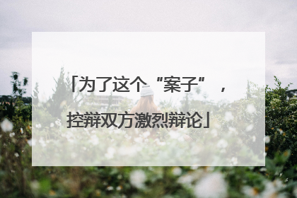 为了这个“案子”，控辩双方激烈辩论