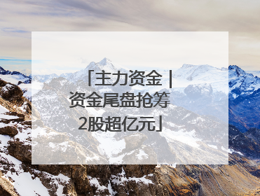 主力资金｜资金尾盘抢筹2股超亿元