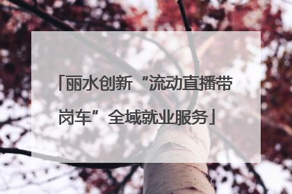 丽水创新“流动直播带岗车”全域就业服务
