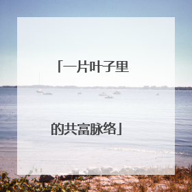 一片叶子里的共富脉络