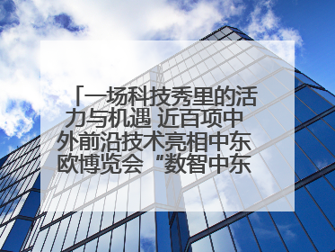 一场科技秀里的活力与机遇 近百项中外前沿技术亮相中东欧博览会“数智中东欧”板块