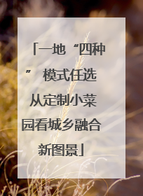 一地“四种” 模式任选 从定制小菜园看城乡融合新图景