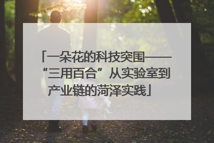 一朵花的科技突围——“三用百合”从实验室到产业链的菏泽实践