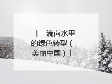 一滴卤水里的绿色转型（美丽中国）