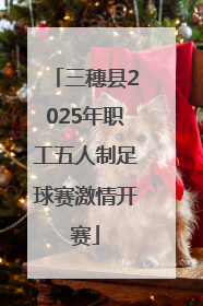 三穗县2025年职工五人制足球赛激情开赛