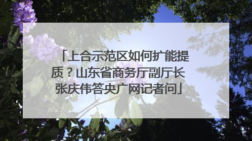 上合示范区如何扩能提质？山东省商务厅副厅长张庆伟答央广网记者问