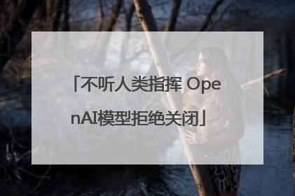 不听人类指挥 OpenAI模型拒绝关闭
